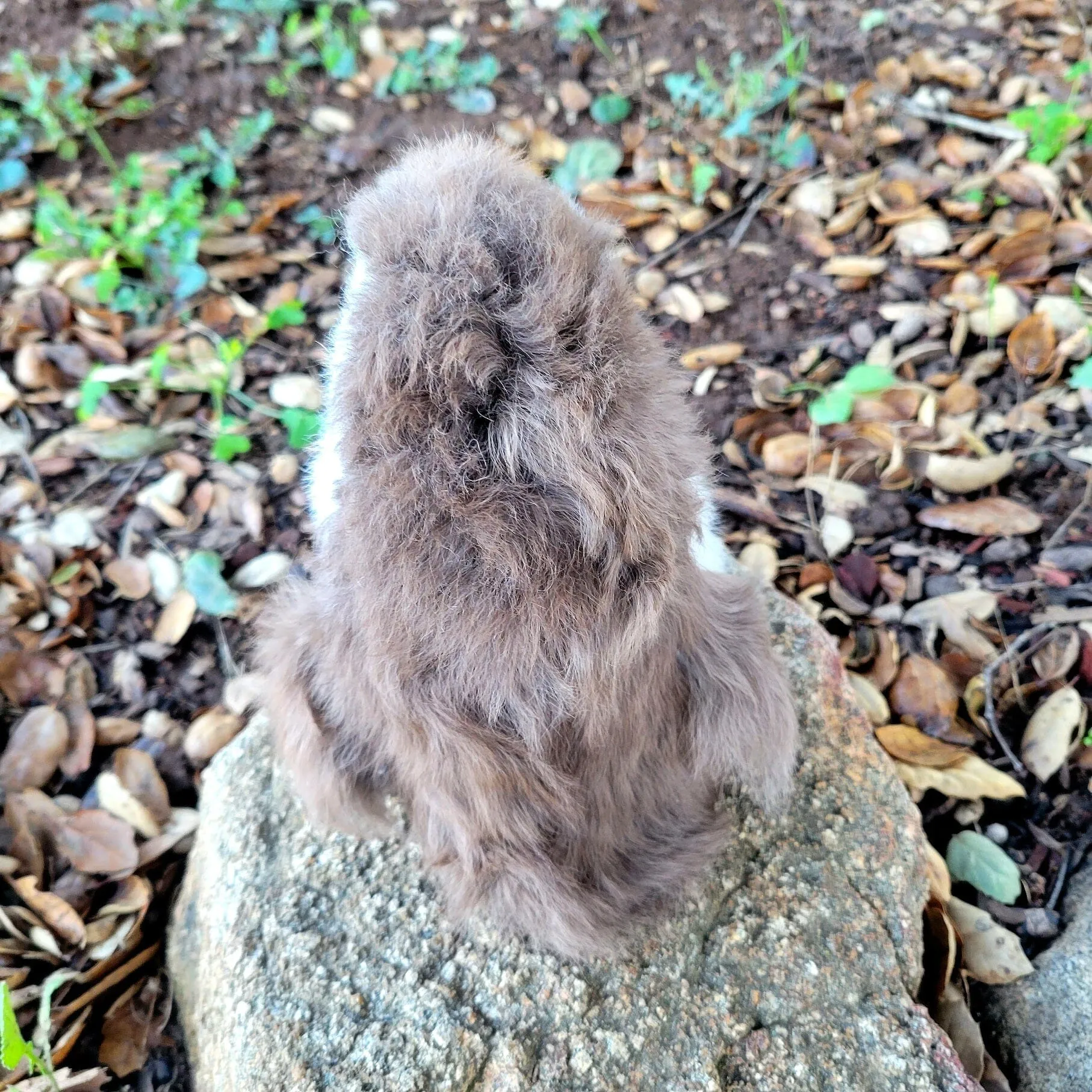 7" Fur Alpaca Penguin