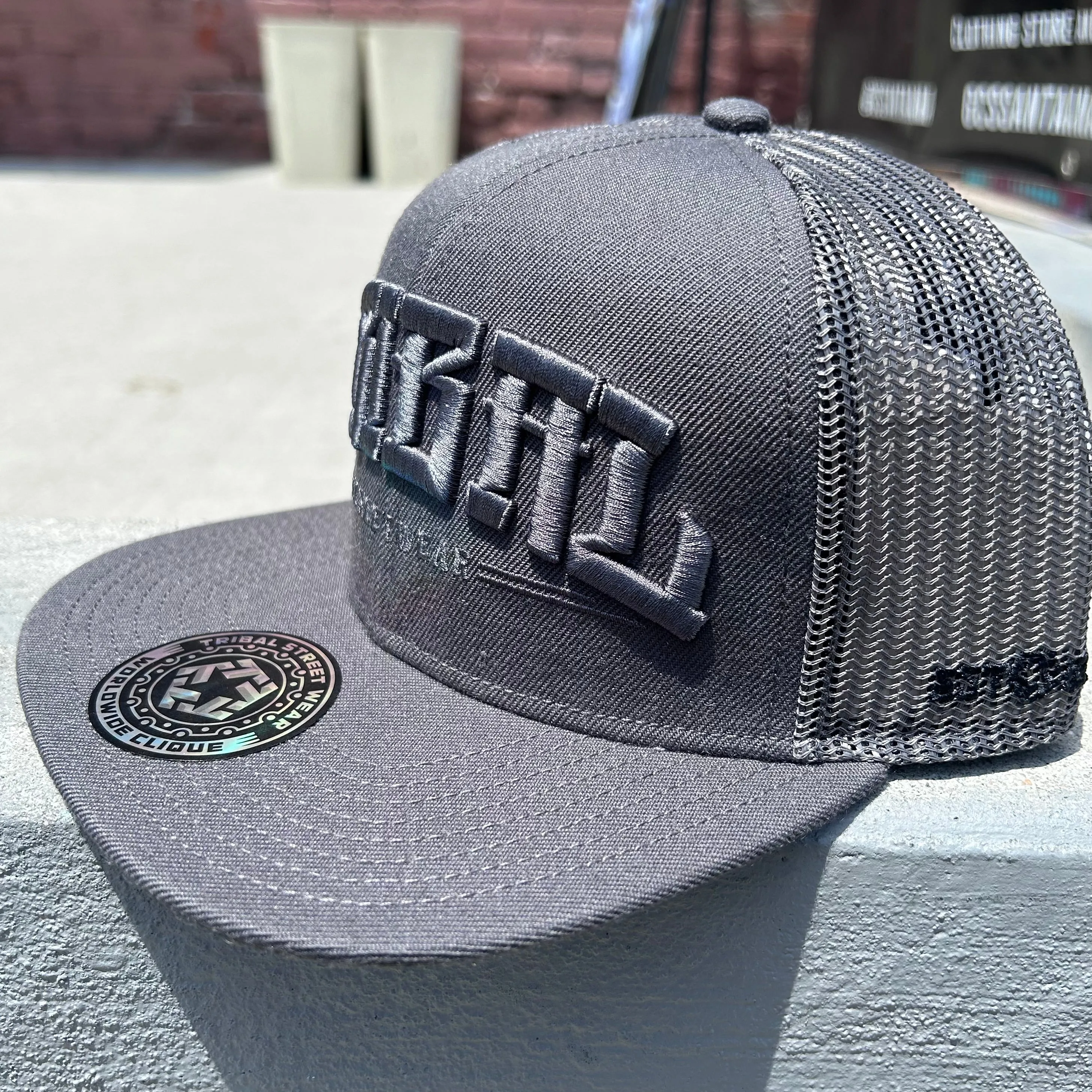 Arched Logo trucker hat (grey)