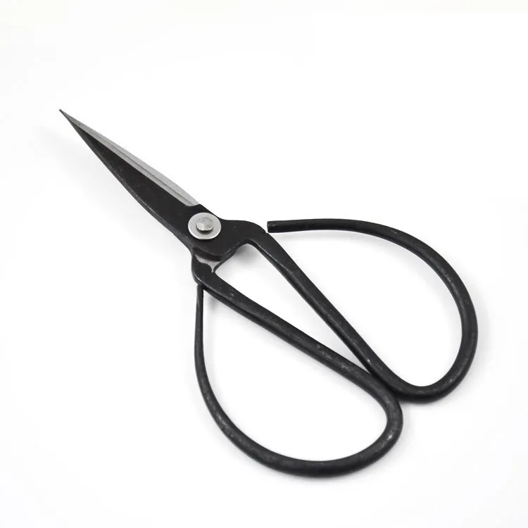 Black Shears