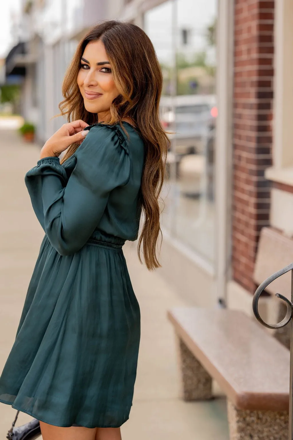 Classic Cinched Long Sleeve Dress