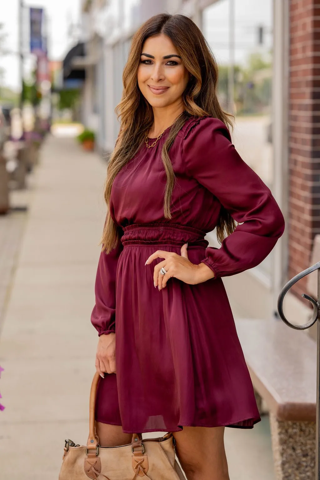 Classic Cinched Long Sleeve Dress