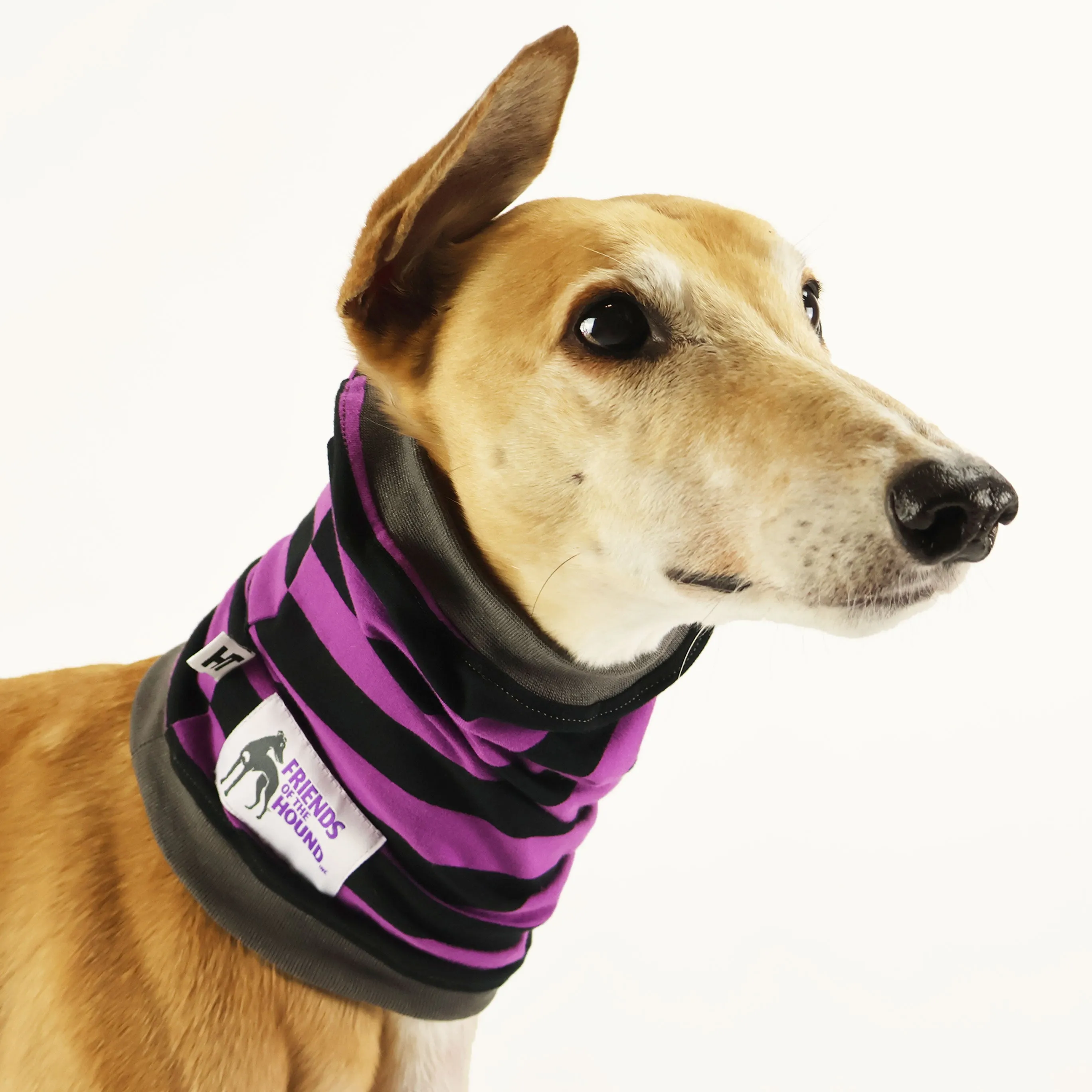 Friends Of the Hound Greyhound Snood