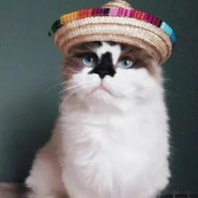 Mexican Sombrero hat