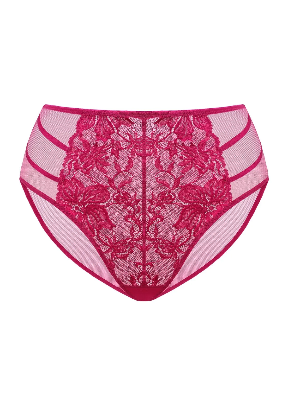 Pretty In Petals High-Rise Lace Brief Underwear